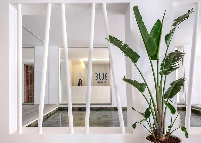 Tui Blue Palm Beach Hammamet